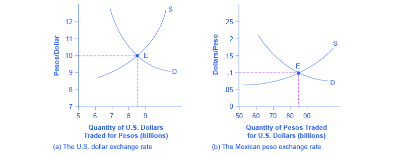 The learning curve of the Dollar Rate in market valuation