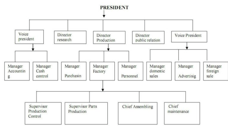 An organisational structure