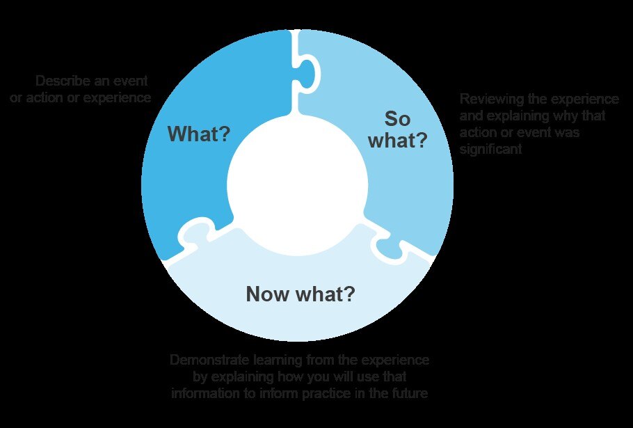 Driscoll&rsquo;s model of reflection