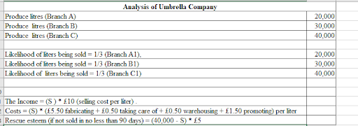 The analysis of Umbrella Company The analysis of Umbrella Company