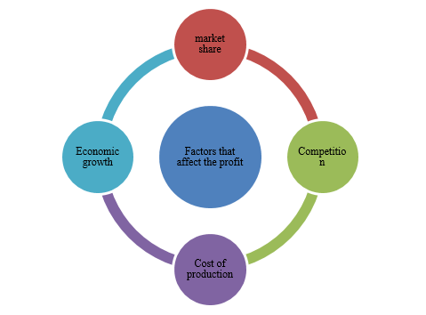 Factors that affect the profit Factors that affect the profit