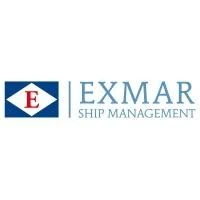 Figure 1: Company Logo