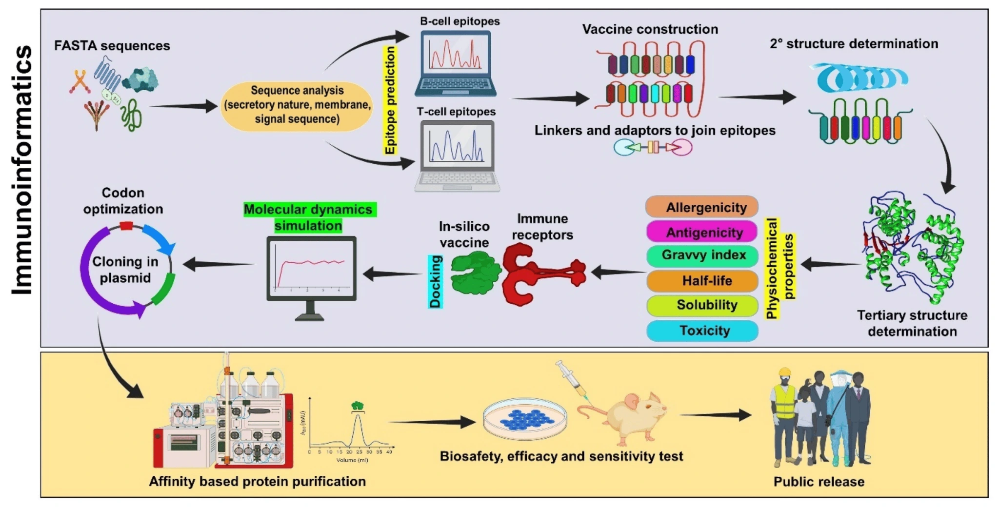 Immunoinformatics Approaches