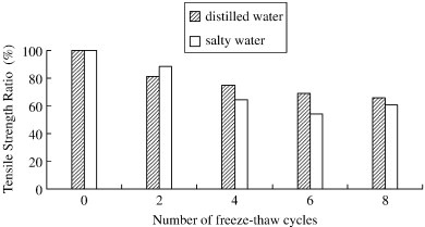 Impact of salt and freeze-thaw cycles on performance of asphalt mixtures