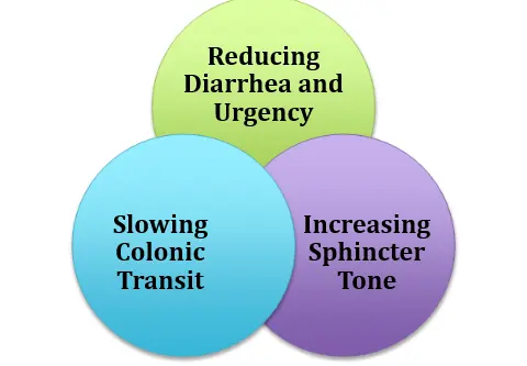 Loperamide's role