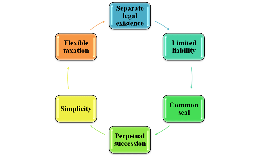 Nature of Limited company