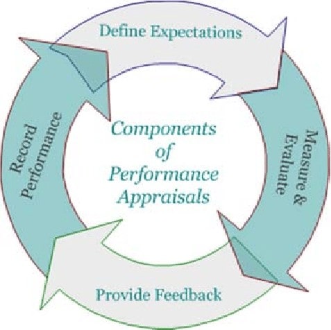 Performance appraisal process