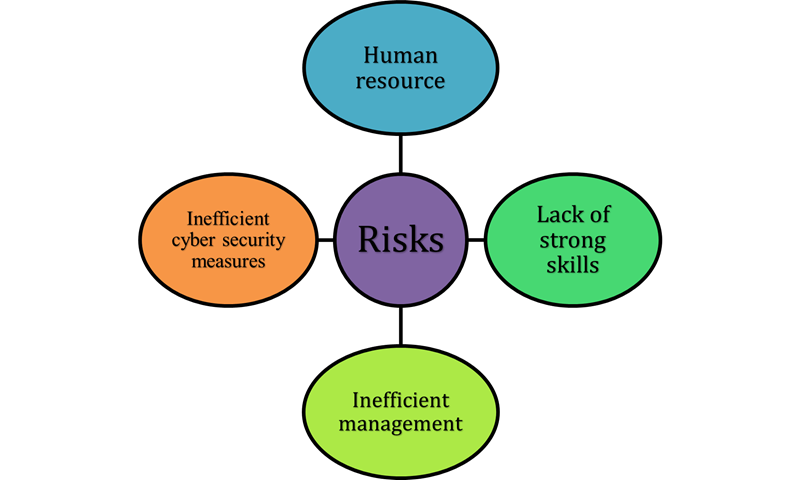 Risks of the company