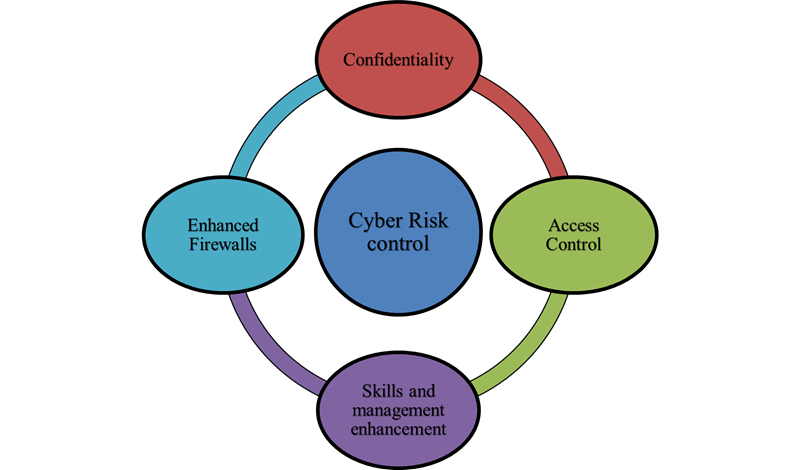 Cyber Risk Control