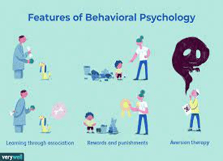 Behavioural Theory