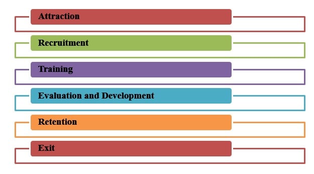Stages of Employee Life Cycle